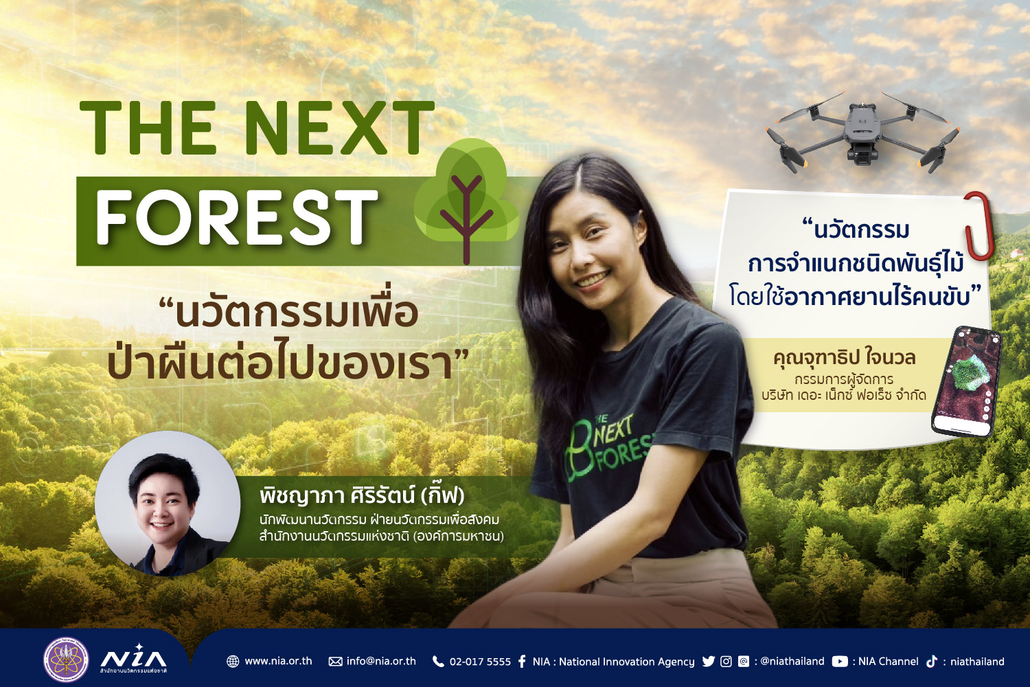 The next forest_720_480.jpg